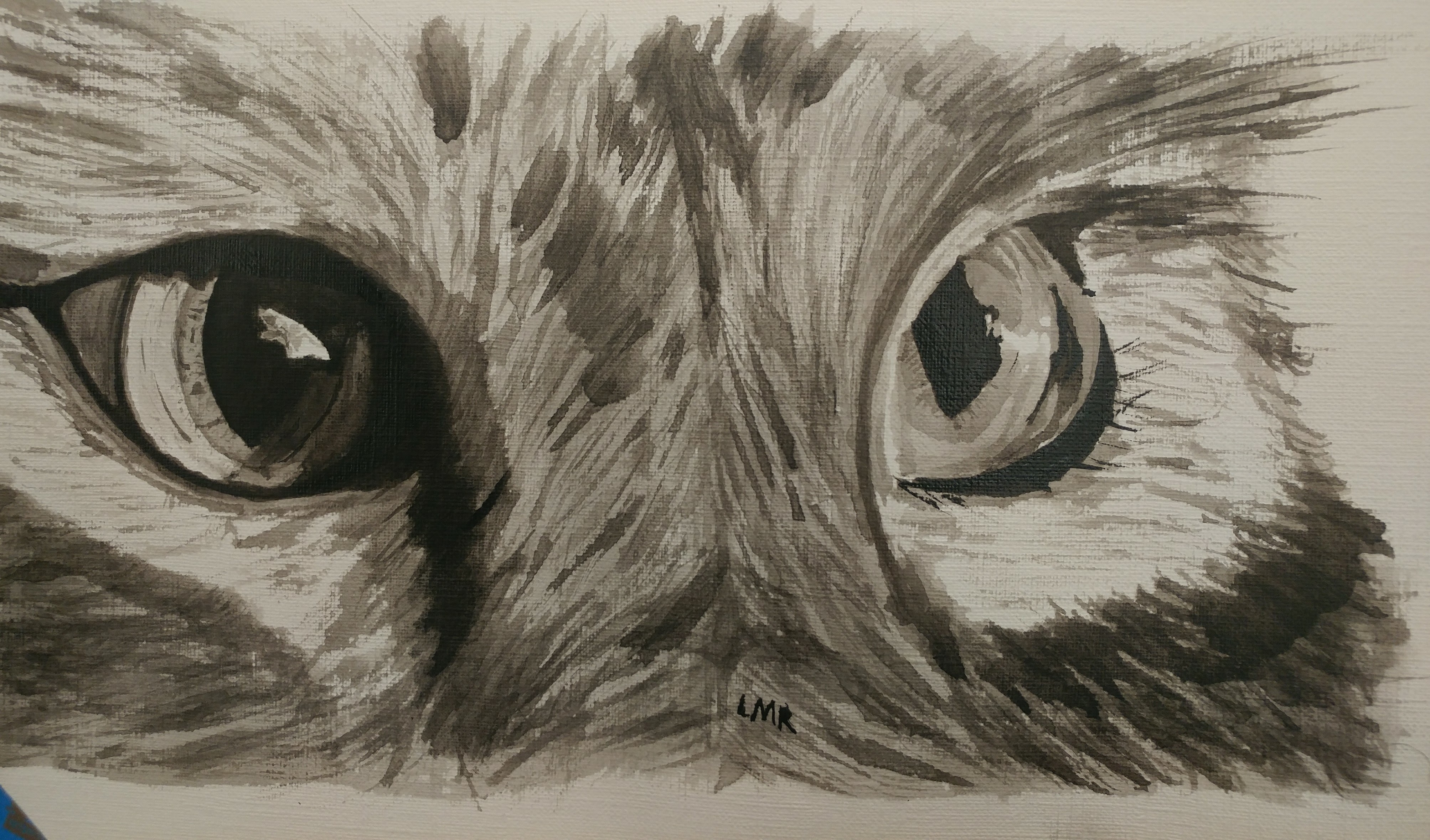 Cat Eyes India Ink