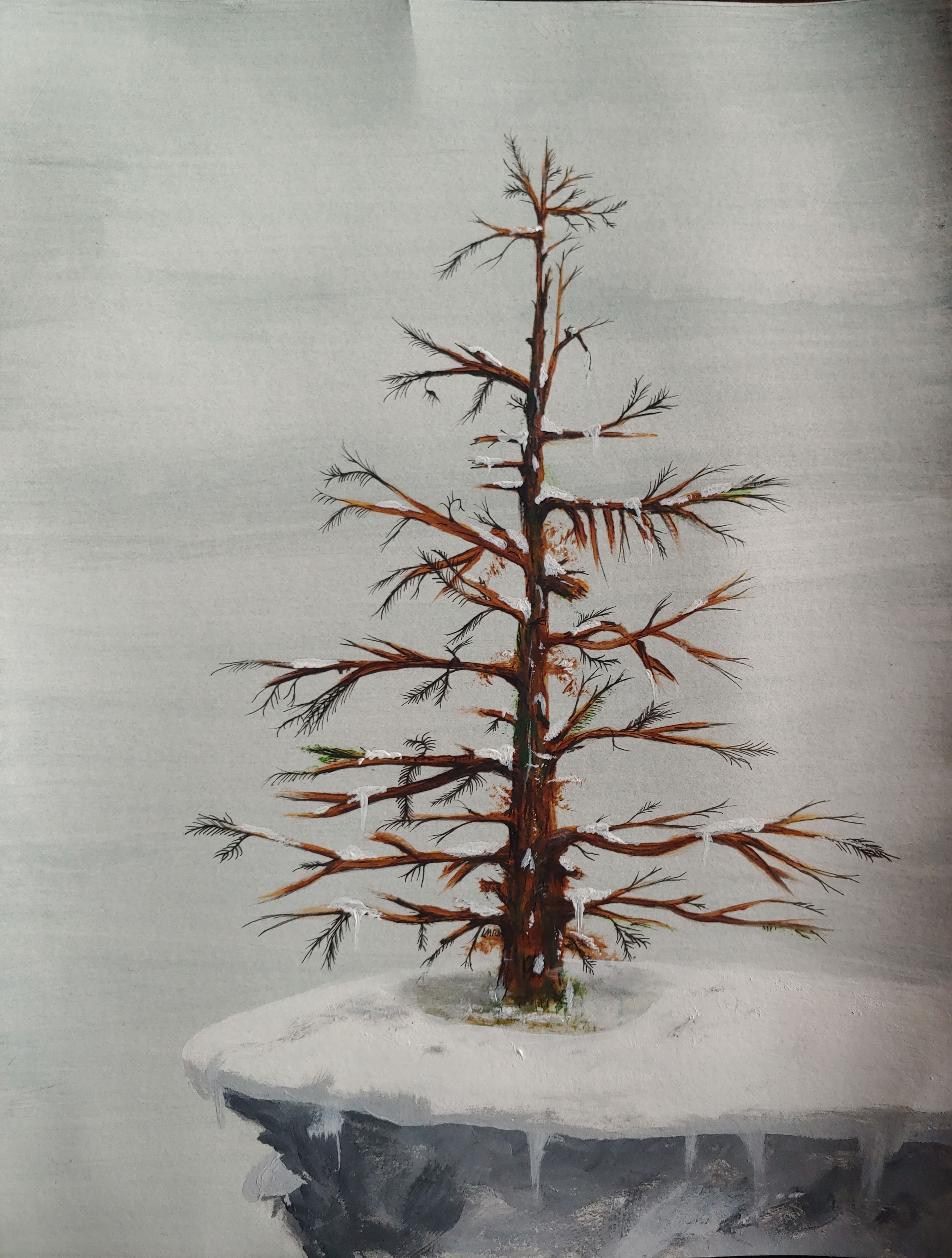 Cliffside Tree in Snow